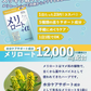 【薬剤師監修】メリロート+α 60日分 1袋 メリロート12,000mg配合 ヒハツ カリウム ネイチャーフォース
