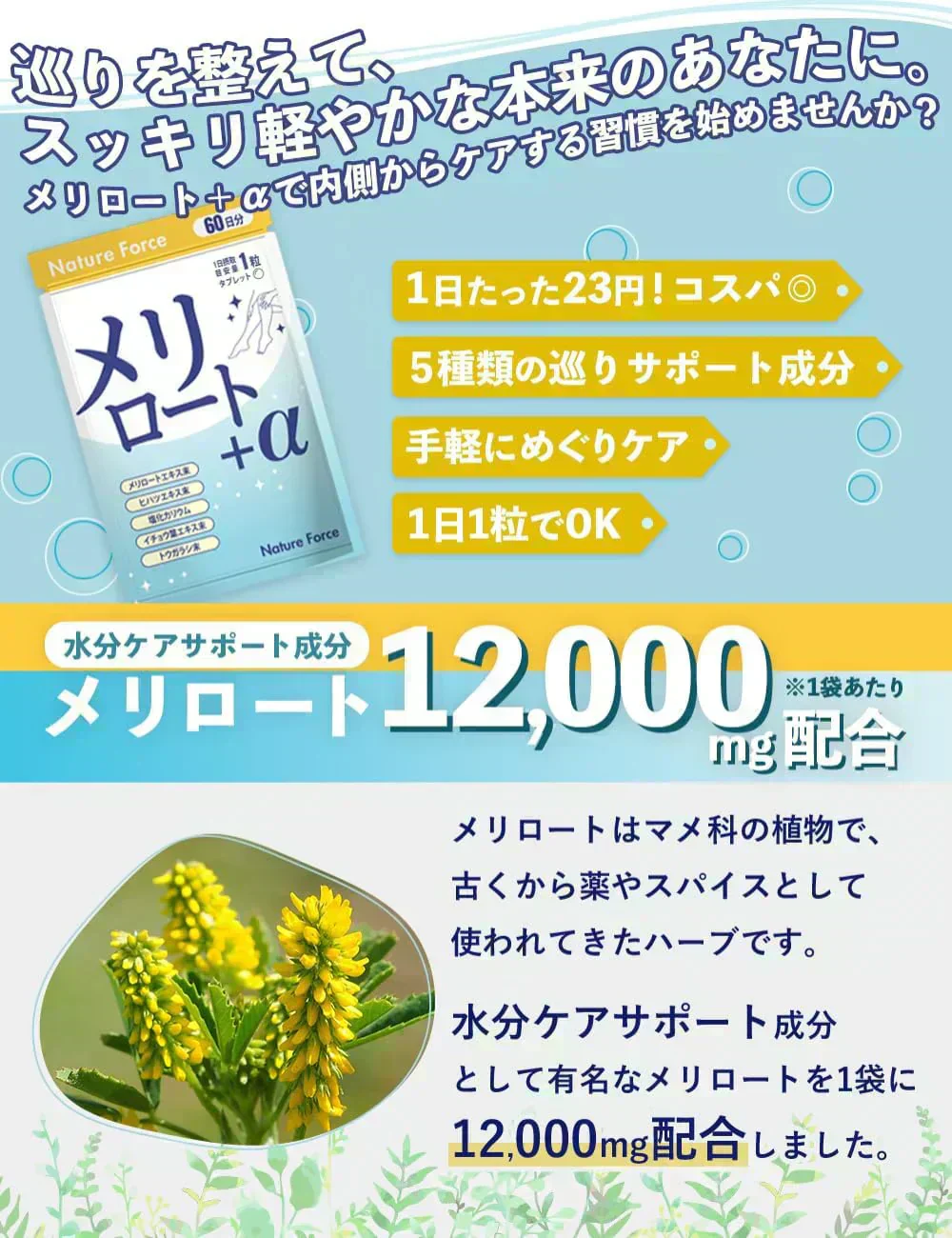 【薬剤師監修】メリロート+α 60日分 1袋 メリロート12,000mg配合 ヒハツ カリウム ネイチャーフォース