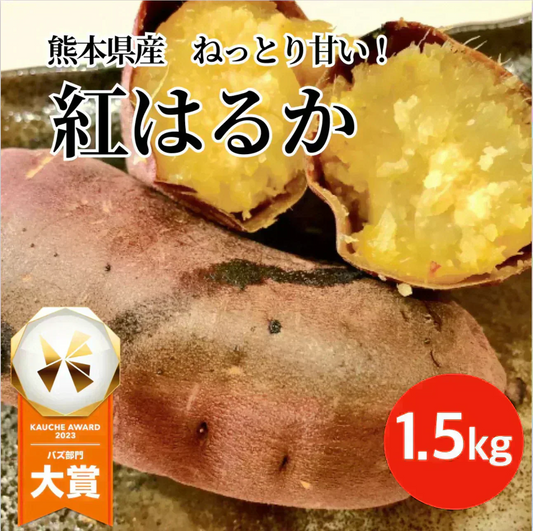 訳あり 紅はるか 1.5キロ 蔵出し サイズおまかせ さつまいも 蜜芋 熊本産 送料無料　60サイズ