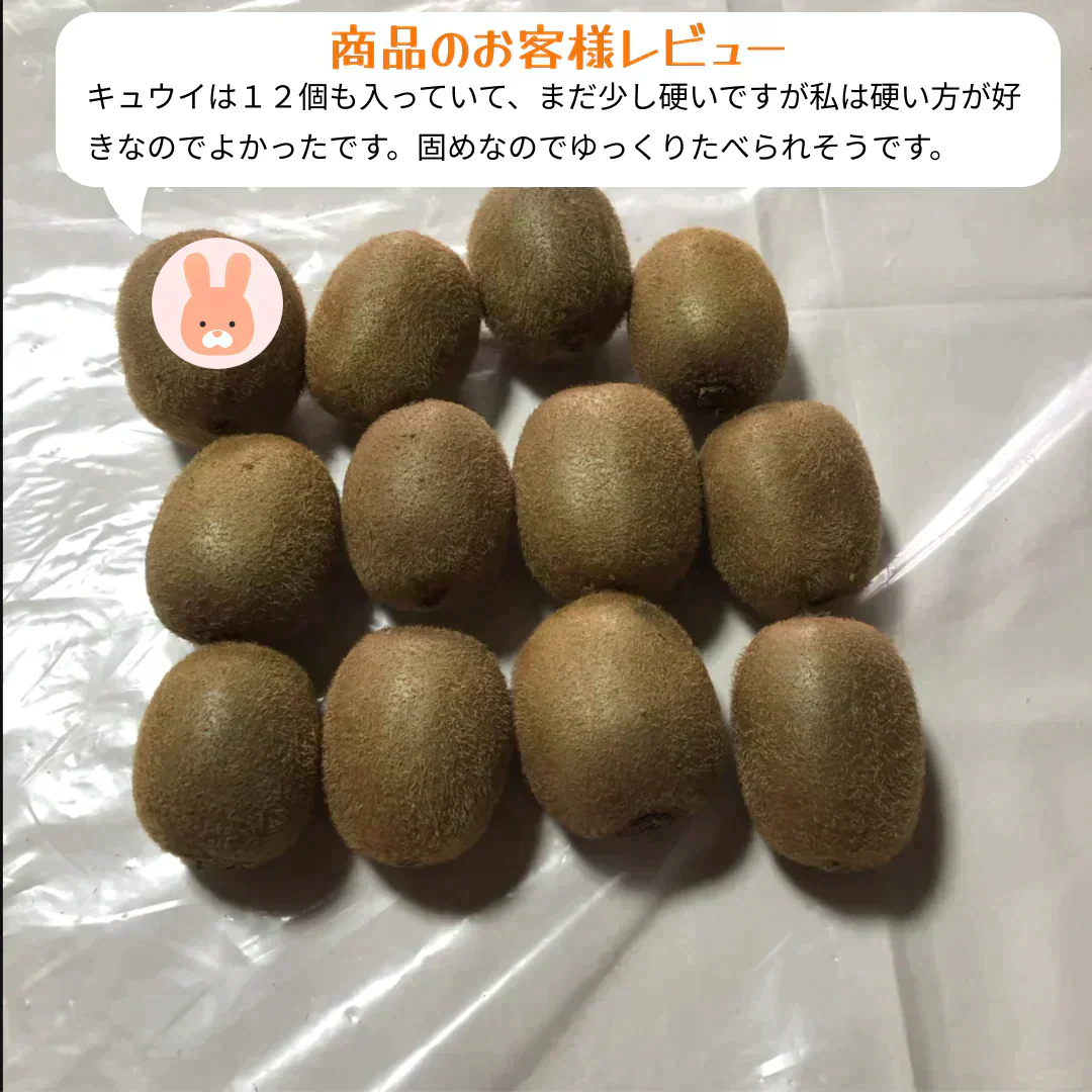 【１１月頃発送開始】おトクで美味しい！　愛媛県産　グリーンキウイ2Kg(20個前後）（風袋込み）