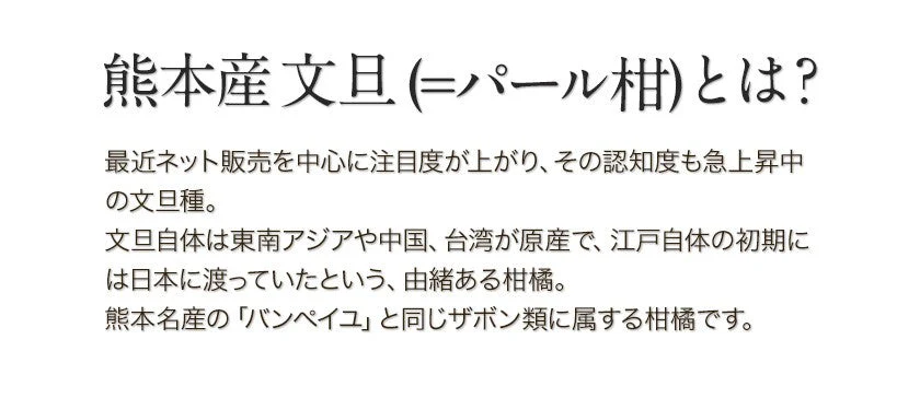 【熊本コレクション】天草文旦 パール柑 ギフト 約3kg前後 送料無料 4L-3L / 5-6玉入 贈答用 御年賀 寒中見舞い 果物 フルーツ 12月上旬-12月末頃より発送予定