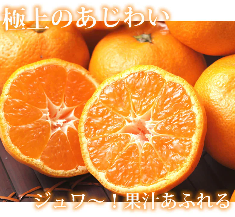 みかん ハウスみかん 送料無料 2kg 熊本県産 蜜柑 ミカン 温室みかん ギフト 贈答 御中元 フルーツ
