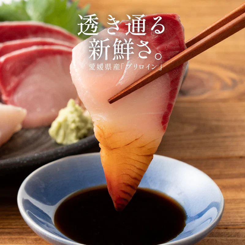 ぶり 刺身 ブリ ロイン 500g 超冷薫 業務用 愛媛県産 鰤 海鮮 お刺身 刺し身 柵 さくさしみ 切り身 お取り寄せ グルメ 寿司 和食 ブリしゃぶ 海鮮 冷凍