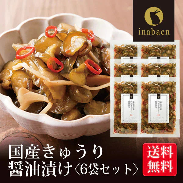 【6個セット】日本橋いなば園 国産きゅうり醤油漬け 100g ネコポス メール便送料無料