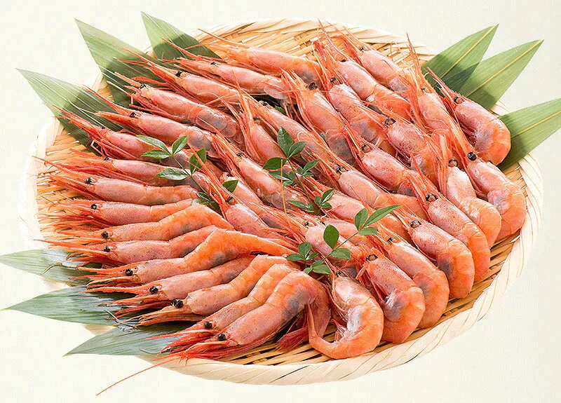 越前産 甘えび 甘エビ 子持ち 500g（約40尾入り） 冷凍エビ 冷凍えび 冷凍海老 刺身用 天然 食べ物 海鮮 魚介 水産 冷凍 祝い お徳用 国内 魚介類 美味しいお取り寄せ グルメ 贈り物 母の日 プレゼント ギフト  母の日思いの 実用的