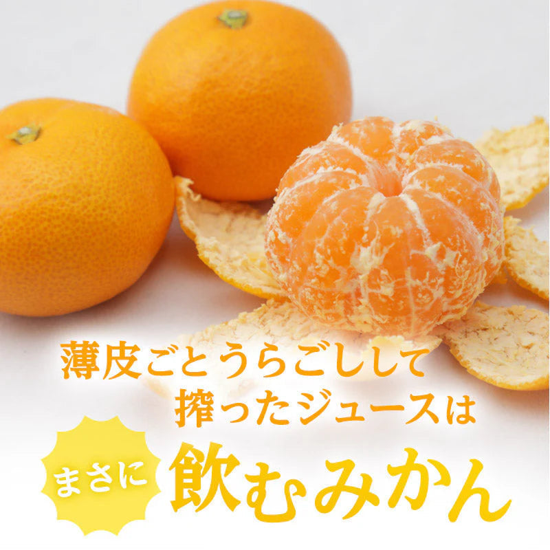 【豊洲市場直送】定松みかんジュース30本