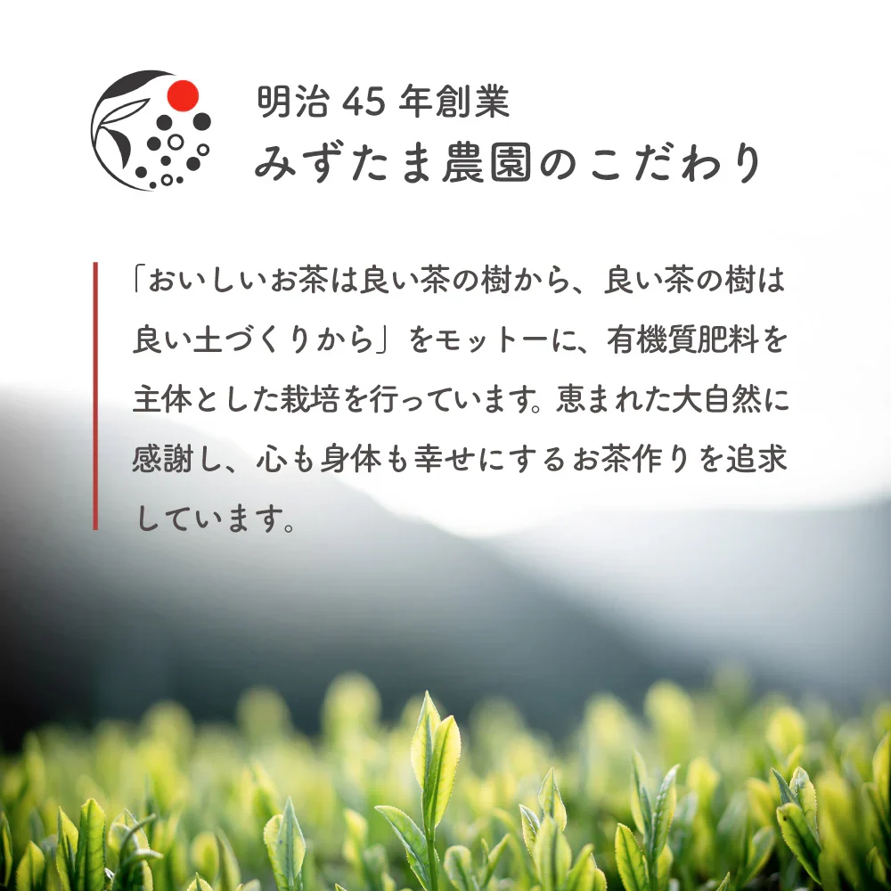 鬼棒ほうじ茶 ティーバッグ 40個入 ノンカフェイン ほうじ茶 お茶 ティーパック 棒茶 棒ほうじ茶 カフェインフリー 静岡 静岡茶 ノンカフェイン カフェインレス カフェインゼロ 送料無料 ほうじ 国産