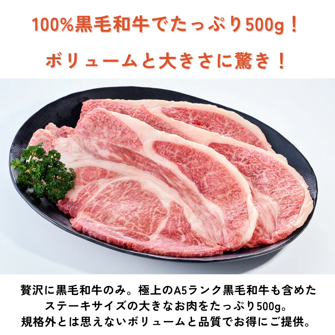 モッタイナイビーフ 黒（黒毛和牛 A4ランク以上 500g）