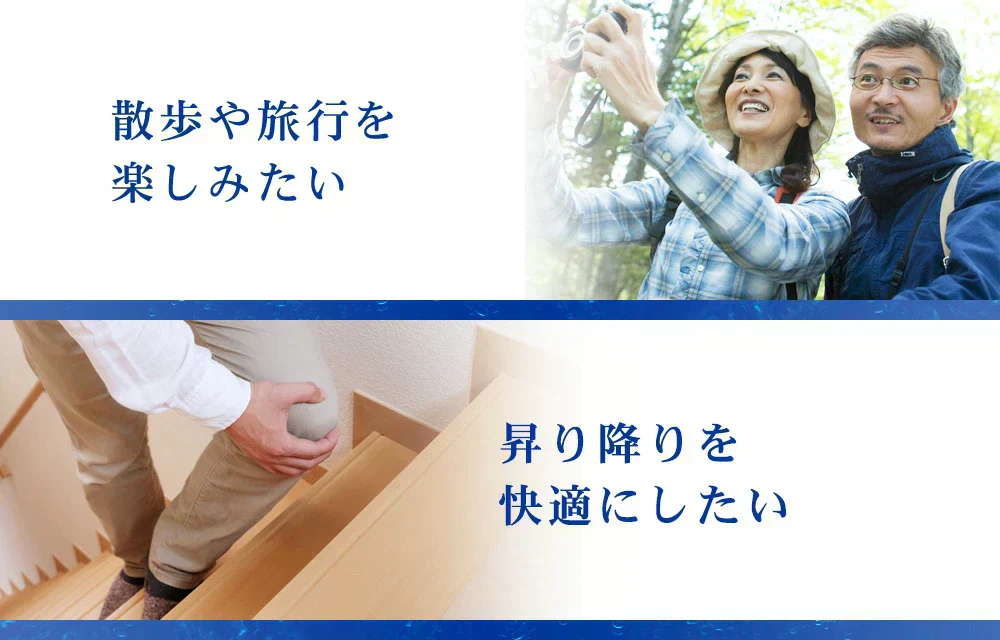 コンドロイチン《約3ヶ月分》サプリ サプリメント 健康  エクストラバージン オリーブオイル オレイン酸 散歩 旅行 スポーツ