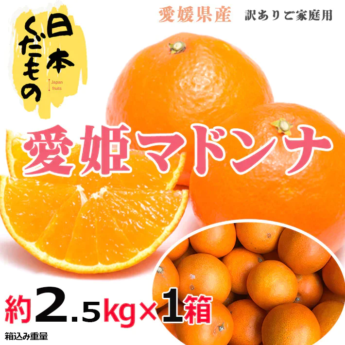 愛媛県産 高級柑橘マドンナ 2.5kg×1箱 訳あり家庭用 柑橘