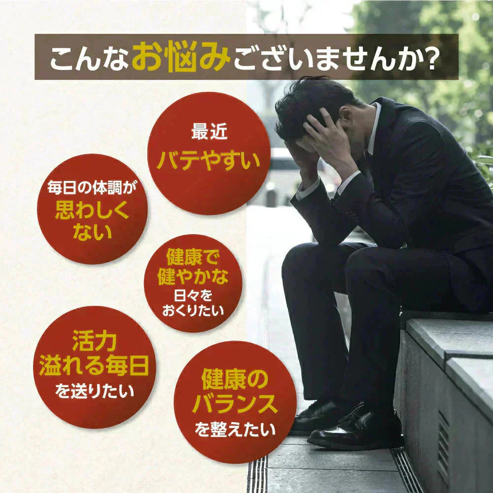 マカ 《約3ヶ月分》　サプリ 亜鉛 鉄 必須アミノ酸 男性 女性 元気 エネルギー ビタミン ミネラル 健康 マカ【大容量】