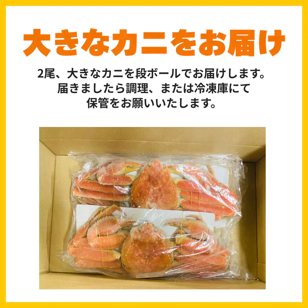 大きいボイル本ズワイ蟹　1.4㎏　２尾（1尾あたり約700g）