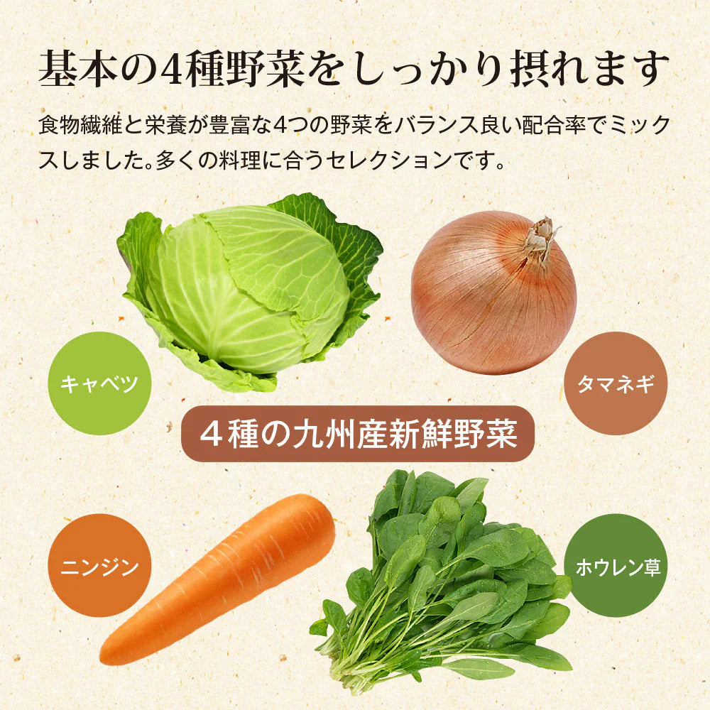 日本橋いなば園 九州産野菜使用 乾燥野菜ミックス 100g ネコポス メール便送料無料