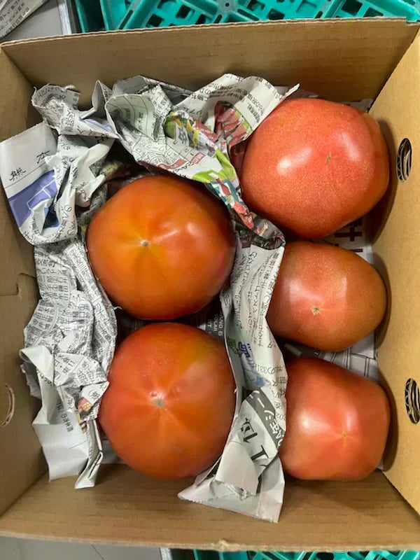 【予約販売/9月中旬〜10月中旬頃より順次発送開始予定】トマト 🍅700g 常温便配送 (トマト・ミディトマト・ミニトマトなど種類は出品者おまかせ) 60サイズ【北海道・東北・沖縄配送不可】【カウシェファーム収穫対象商品】