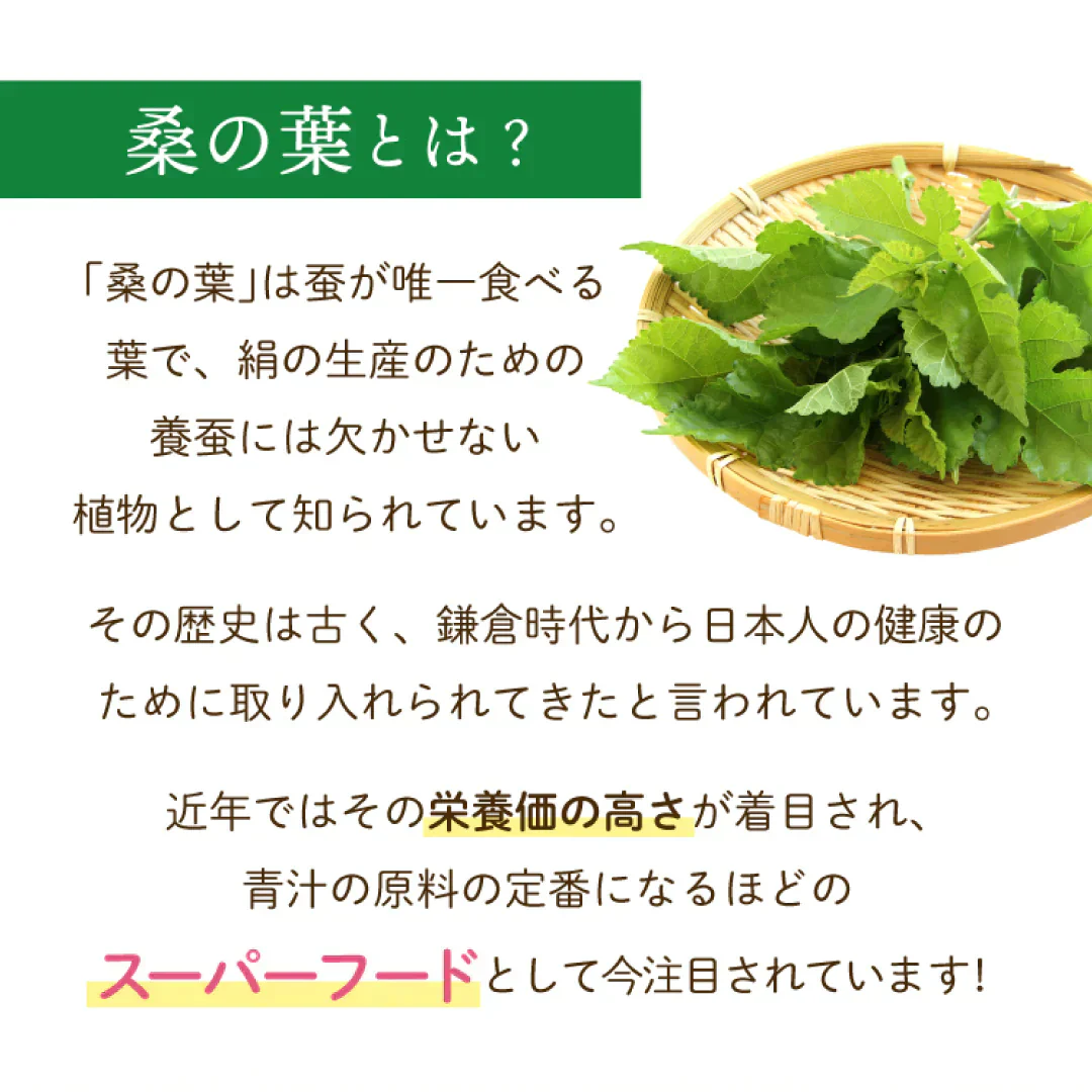 有機桑の葉茶　１００個入（スーパーフード オーガニック ティーバッグ 国産 お茶 ノンカフェイン 健康茶 人気）