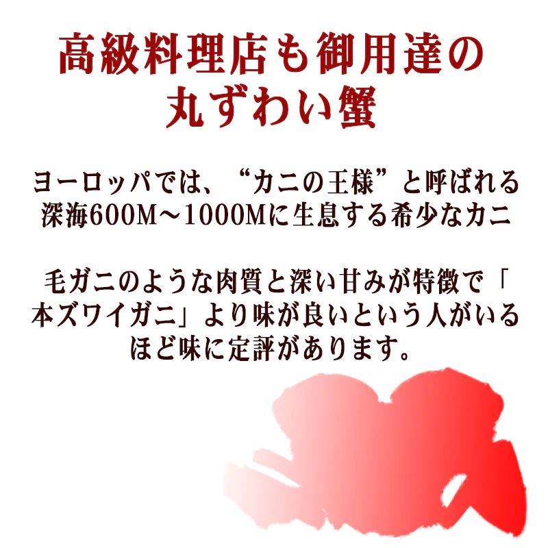 【2024年1月10日以降の発送予定】 送料無料 丸ズワイガニ ボイル ズワイ 爪肉 2kg(1kg(正味量約700g前後) ×2袋) ボイル済み (ウルグアイ産原料インドネシア加工) かに カニ 蟹 ズワイガニ ずわいがに ポーション マルズワイガニ