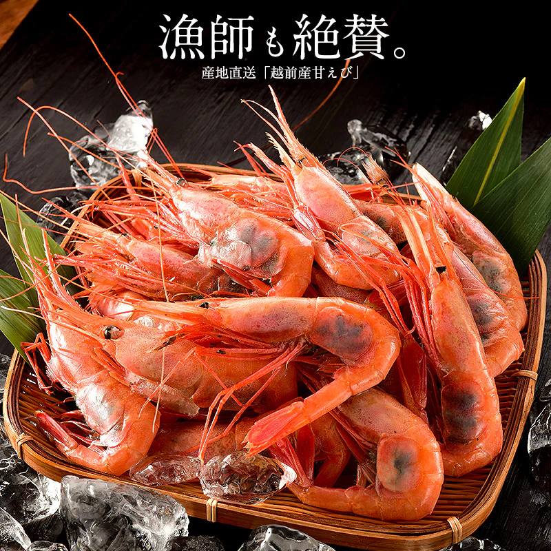 越前産 甘えび 子持ち 大サイズ 1kg（500g×2箱）80～90尾入り 刺身用 甘エビ［送料無料］産地直送 海鮮 エビ セット 海老 大 美味しい 大きい えび 冷凍えび 冷凍エビ 贈り物 贈答 母の日 プレゼント ギフト  母の日思いの 健康 実用的 父の日 子供 孫