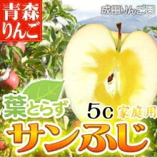なりたりんご園 家庭用 葉とらず サンふじ 家庭用 約5kg箱(約14～20個入)