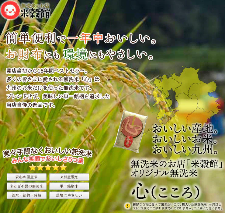 無洗米 心 こころ 20kg 5キロ×4個 令和7年産 九州産 とがなくていい むせんまい