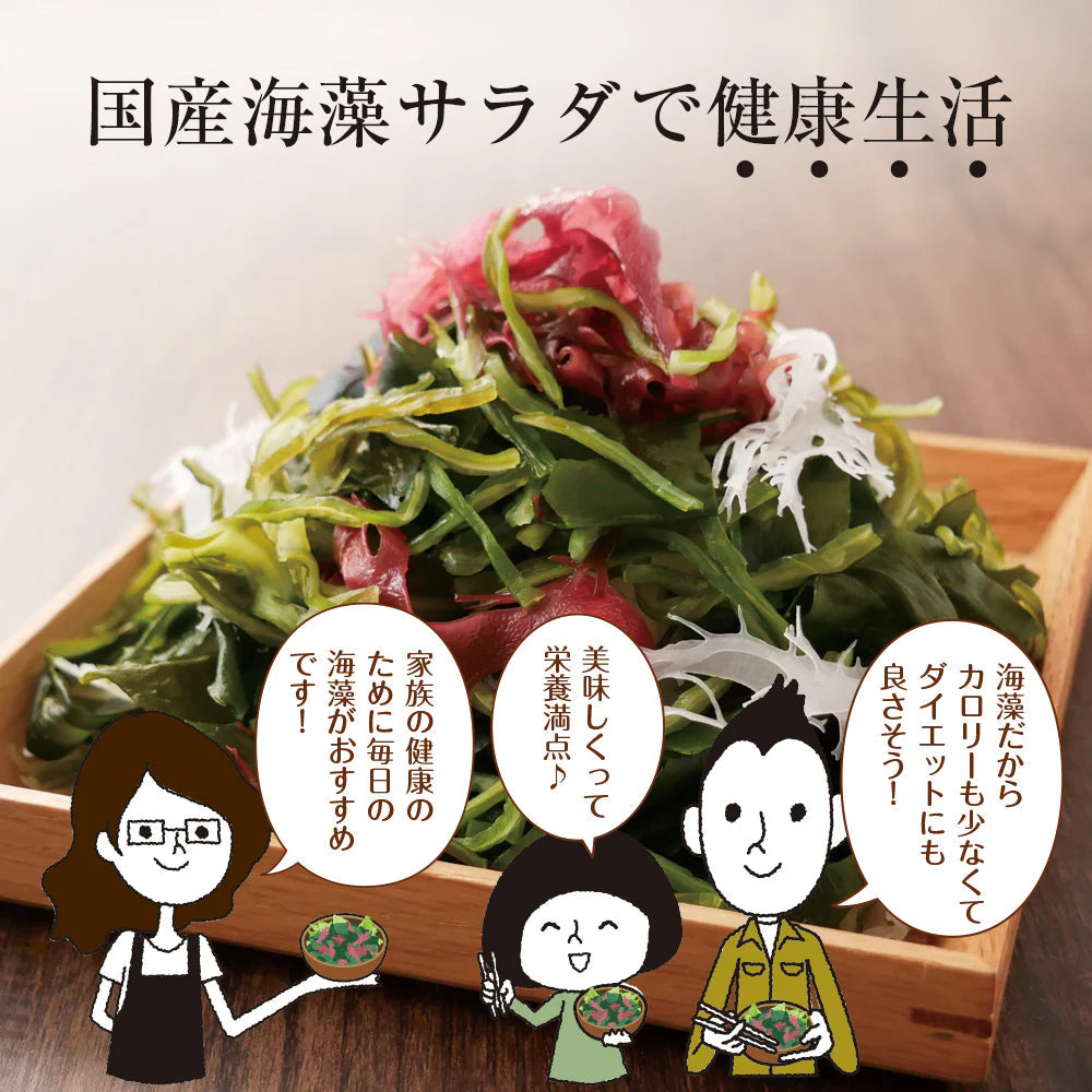 【2個セット】日本橋いなば園 国産海藻サラダ 30g ネコポス メール便送料無料