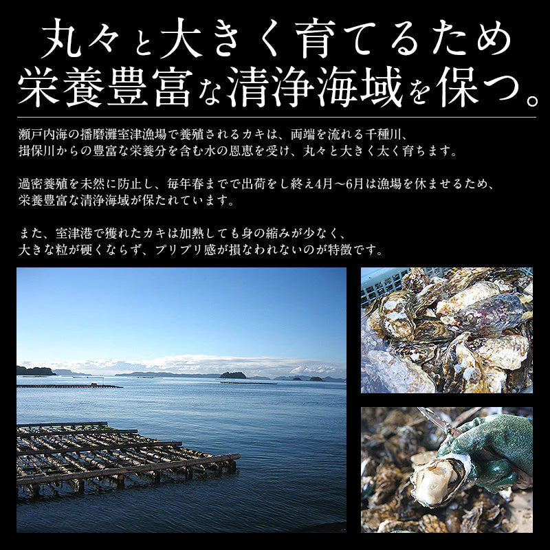 1kg（10個前後）牡蠣  生食用 殻付き