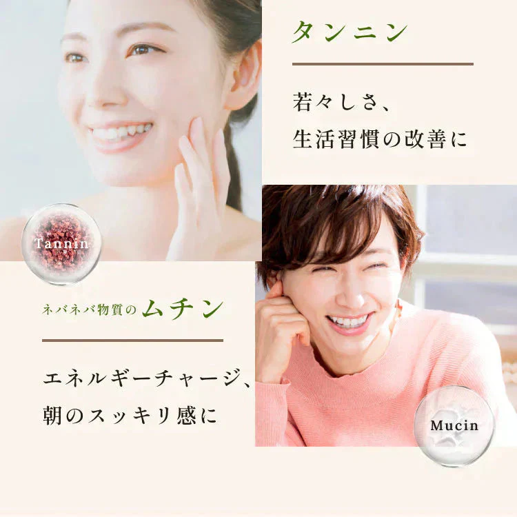 れんこんパウダー 国産 70g 無農薬 粉末 レンコンパウダー ポリフェノール レシピ 離乳食 ヨーグルト スイーツ 食物繊維 タンニン れんこん 蓮根パウダー 野菜パウダー レンコン粉 熊本県産 化学肥料不使用 送料無料