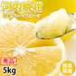 河内晩柑 みかん 送料無料 秀品 5kg M～2L 和製グレープフルーツ お取り寄せ 熊本県産 ジューシーオレンジ 美生柑