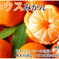 みかん ハウスみかん 送料無料 2kg 熊本県産 蜜柑 ミカン 温室みかん ギフト 贈答 御中元 フルーツ