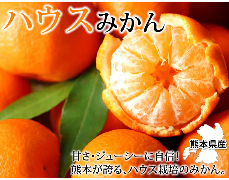 みかん ハウスみかん 送料無料 2kg 熊本県産 蜜柑 ミカン 温室みかん ギフト 贈答 御中元 フルーツ