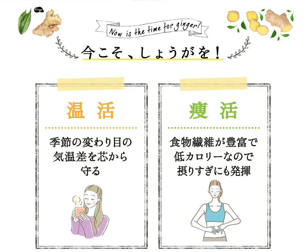 しょうが美人 ペースト 《1箱31包入り》 長崎県産しょうが使用 化学調味料　着色料保存料香料全て一切不使用　かぼす 黒糖 生姜 冷え ジンジャー シロップ エール ドリンク ダイエット ゼリー