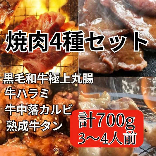 【高級】焼肉牛4種セット（黒毛和牛極上マルチョウ、牛ハラミ、牛中落カルビ、熟成牛タン）700g