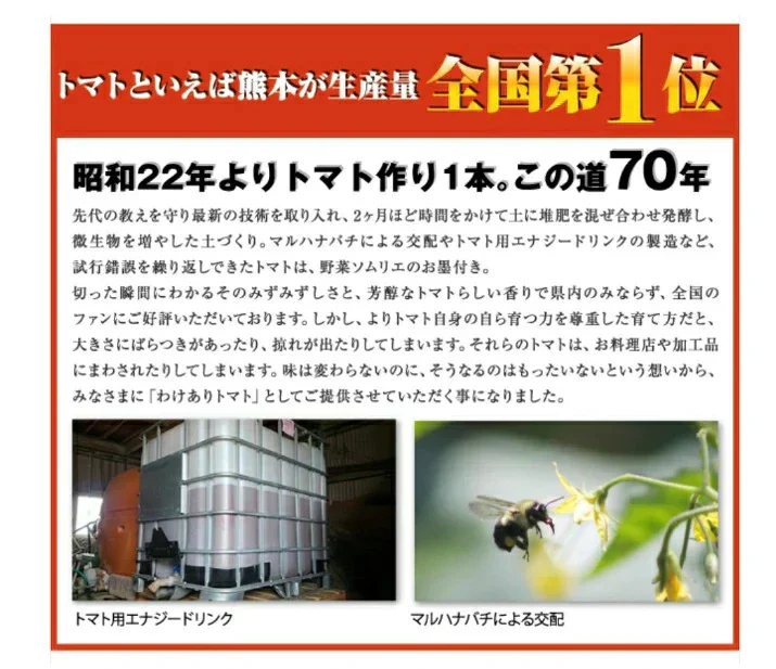 送料無料　ソムリエミニ トマト プラチナ100gとダイヤ100gの食べ比べセット