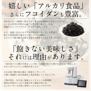 しそひじきふりかけ 110g×2袋（約44食分）生ふりかけ 送料無料