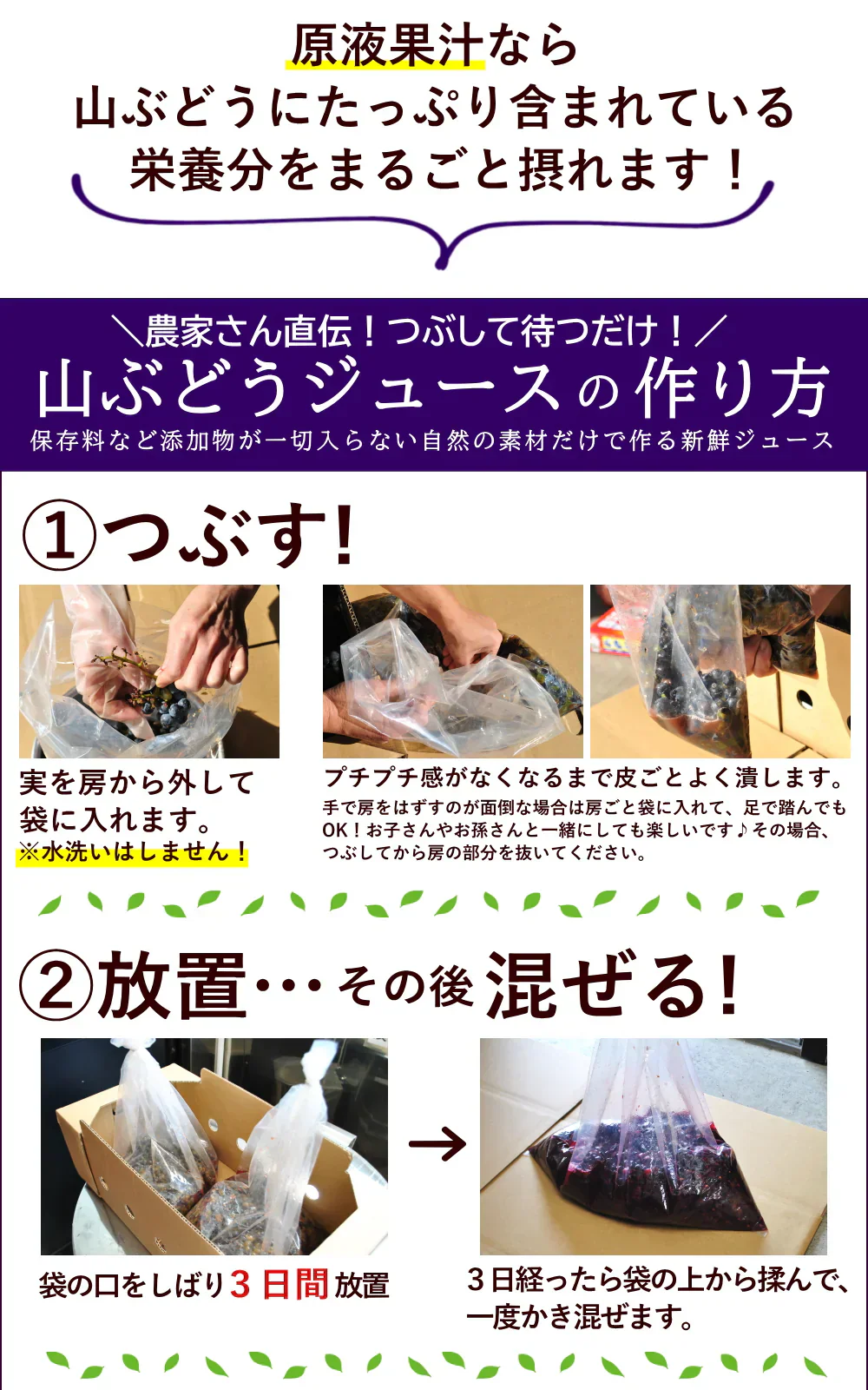 山ぶどう 約4kg 葡萄 ブドウ 山形産 国産 ご家庭用 バラ詰め