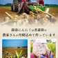 青森県産 特別栽培 にんにく 800g