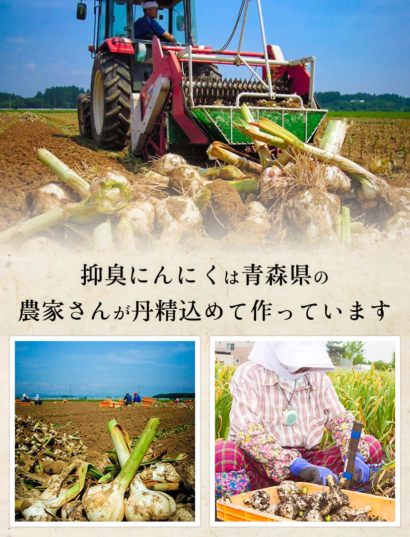 青森県産 特別栽培 にんにく 800g