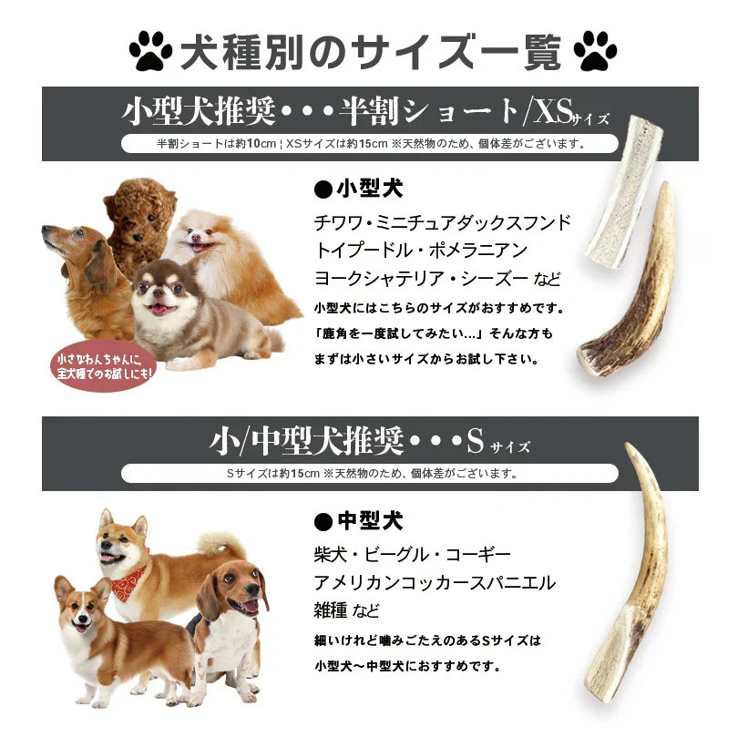 Deerhorn【半割ショート】 北海道産 鹿の角 鹿角 ペット 犬 おもちゃ 小型犬 半割 いたずら防止 おやつ デンタルケア ガム 天然 無添加