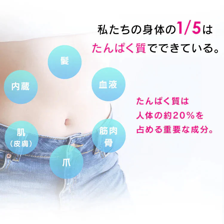 【カートアップNG】プロテインクッキー チョコ味 250g