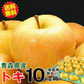 【即日発送】青森県産 りんご トキ 10kg箱 家庭用/訳あり ★トキ 家訳 10kg箱