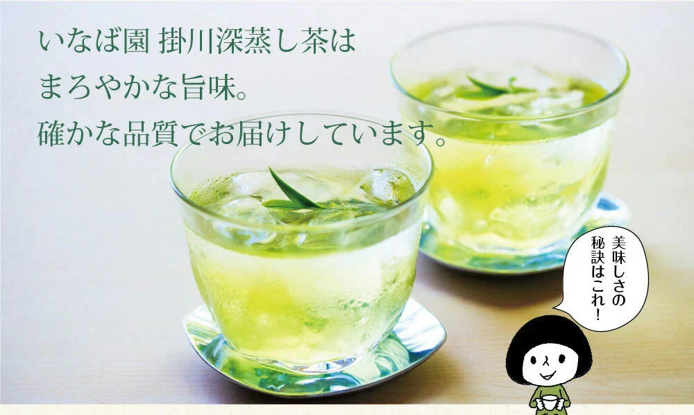 【2個セット】日本橋いなば園 静岡深蒸し茶 掛川茶 100g メール便 送料無料