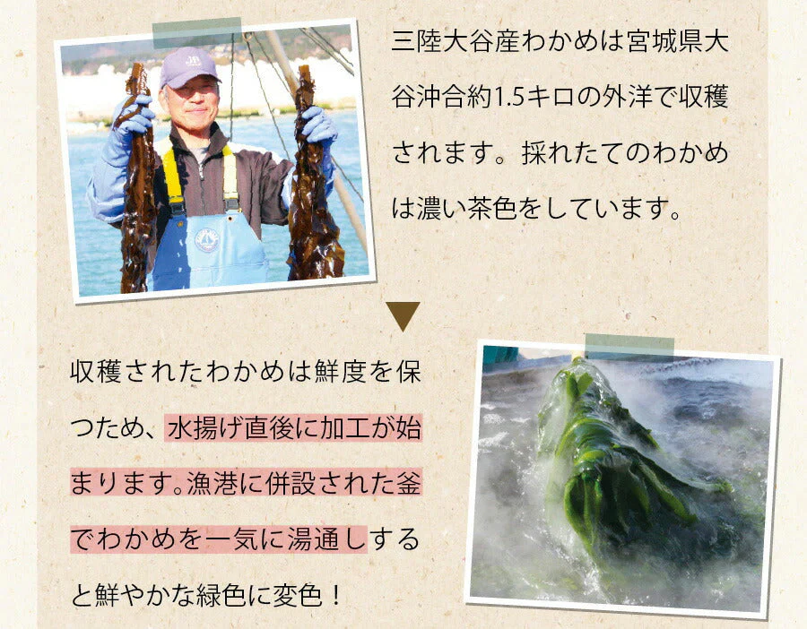 【2個セット】日本橋いなば園 三陸産カットわかめ 40g メール便送料無料