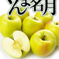 りんご 5kg  ぐんま名月 青森産【2025年1月中旬より発送】