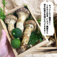 松茸 木箱入り ２箱 ６〜８本 中国産 スダチ入り 生松茸 吸い物 炊き込み マツタケ まつたけ ギフト 贈答用