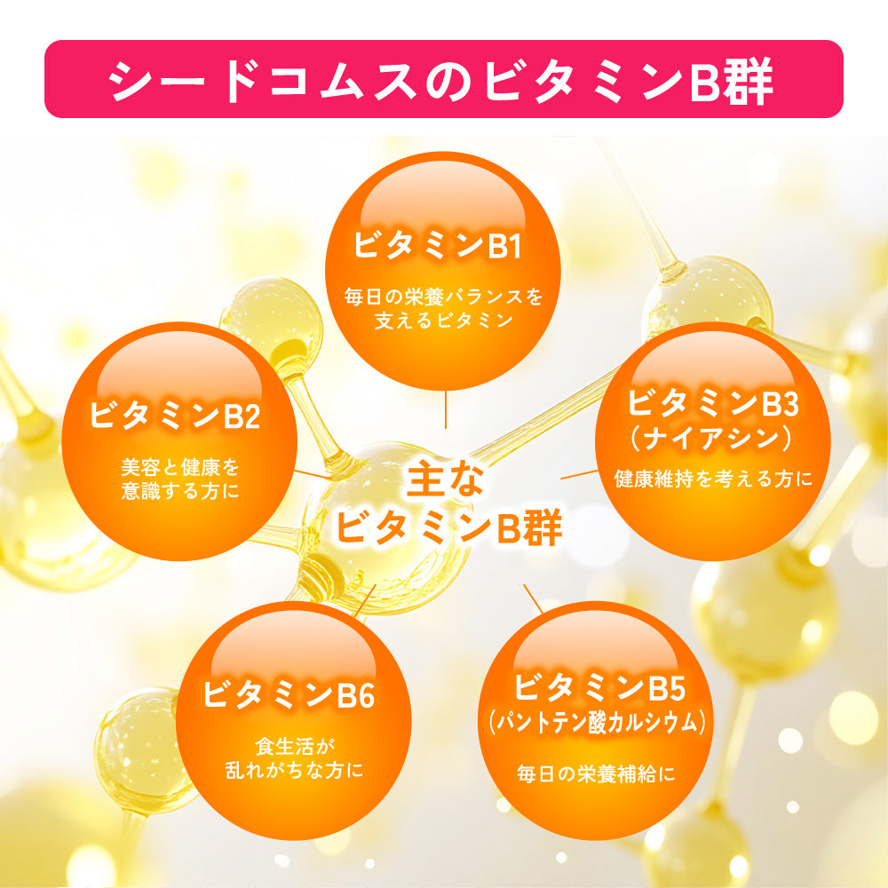 ビタミンB群《約1ヶ月分》チアミン硝酸塩/リボフラビン/ナイアシン/ニコチン酸アミド/ピリドキシン塩酸塩