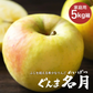 【11月上旬-中旬頃ご注文受付順次】ぐんま名月約5kg箱10-20玉前後 りんご、リンゴ、林檎ふじを超える希少な林檎