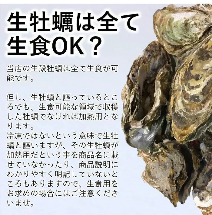 生食 OK カキみちのく 三陸産 殻付き 生牡蠣 10kg（60～100個） 今季初出し 希少 数量限定 送料無料 亜鉛の摂取源No.1 新鮮 石巻 宮城 産地直送 ミネラル アミノ酸 タウリン たっぷり 贈り物