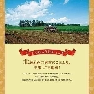 ●中止【北海道限定】柳月
