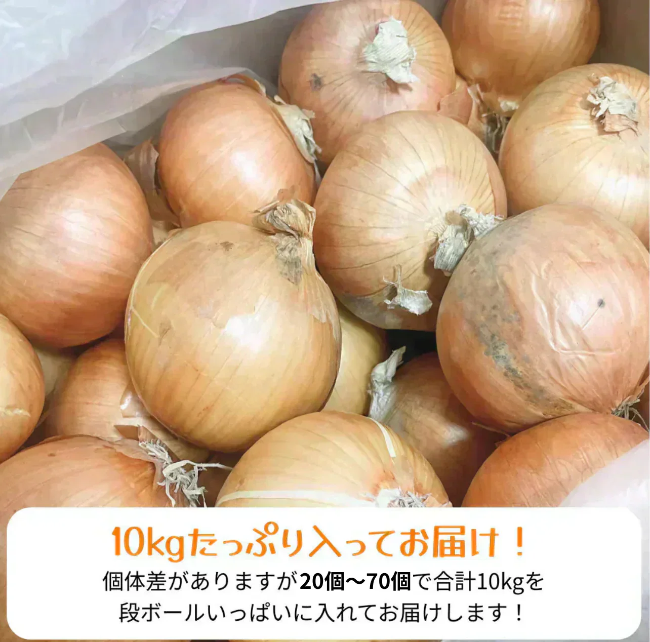 【有名飲食店 / ホテルも愛用】つやつやたまねぎ 10kg 野菜 根菜 玉葱 玉ねぎ タマネギ サラダ 市場 果物 料理 カレー 惣菜 ギフト
