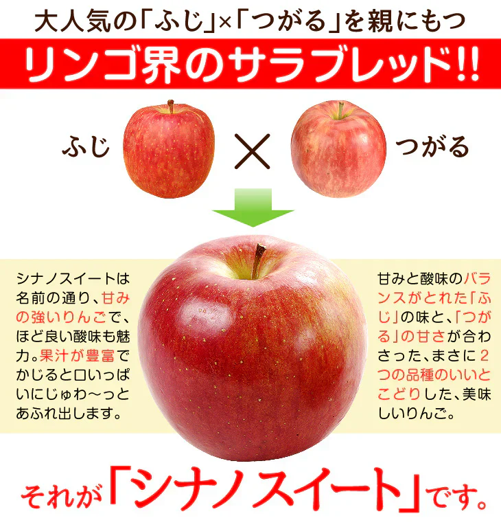 りんご 5kg シナノスイート 青森産 （発送予定：12月上旬より）