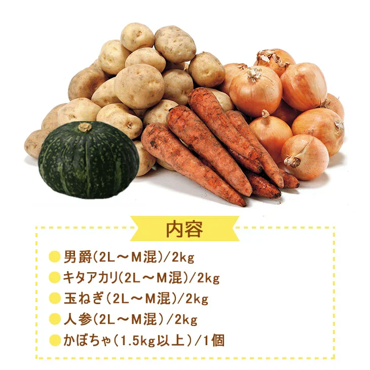 【終了】【10月中旬より順次出荷予定】北海道産 大地の恵み5種セット 9kg　男爵・キタアカリ・玉ねぎ・人参(2L～M混)/各2kg、かぼちゃ(1.5kg以上)/1個